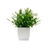 Maintenance Free Artificial Potted Plant with Flower Pot Evergreen Design Fake Green Plant Vivid Shape Decorative Fake Plant