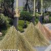 Telaile Outdoor Bamboo Broom