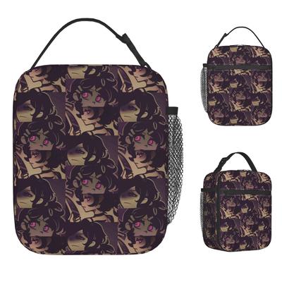 Ashley Andrew The Coffin Of Andy And Leyley Game Insulated Lunch Bags High Capacity Thermal Bag Lunch Box Tote School Men Women