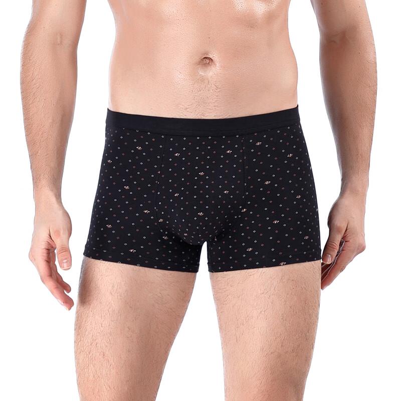 Xiaohushi Men's Skin-Friendly Cotton Print Boxer Briefs 2-Pack