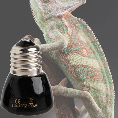 Heat Bulb Impact-Resistant Infrared Thermal Ceramic Spiral Heat Lamp Brooder for Reptile