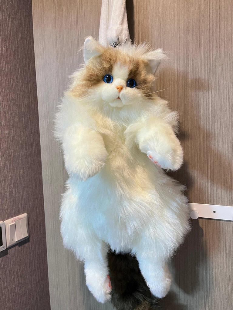 Ragdoll Cat Plush Backpack and Kitten Pillow Toy Gift