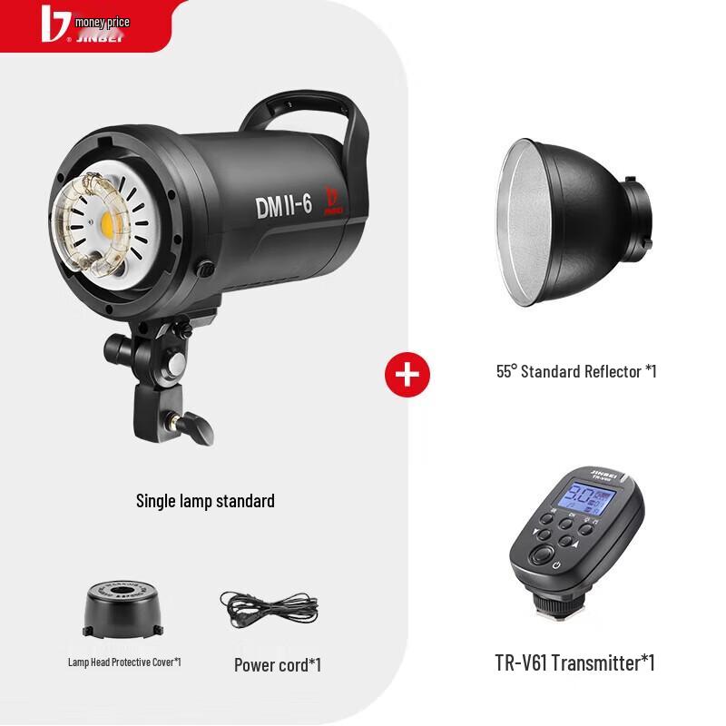 JINBEI DMII600W Studio Flash Kit