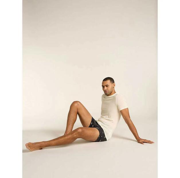 Icebreaker трусы-боксёры Merino 150 Anatomica Explore More