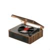 With Speakers WoodGrain Retro for Audiophiles, Home, Bedroom, Office