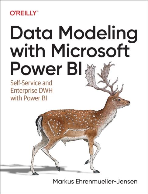The Data Modeling with Microsoft Power BI Book