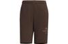 Casual Shorts Men's Dark Brown IP3932