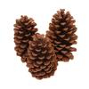 1PCS  Large Christmas Tree Photo Props Natural Pine Cones Pine Balls American Pine Larch Dried Flowers