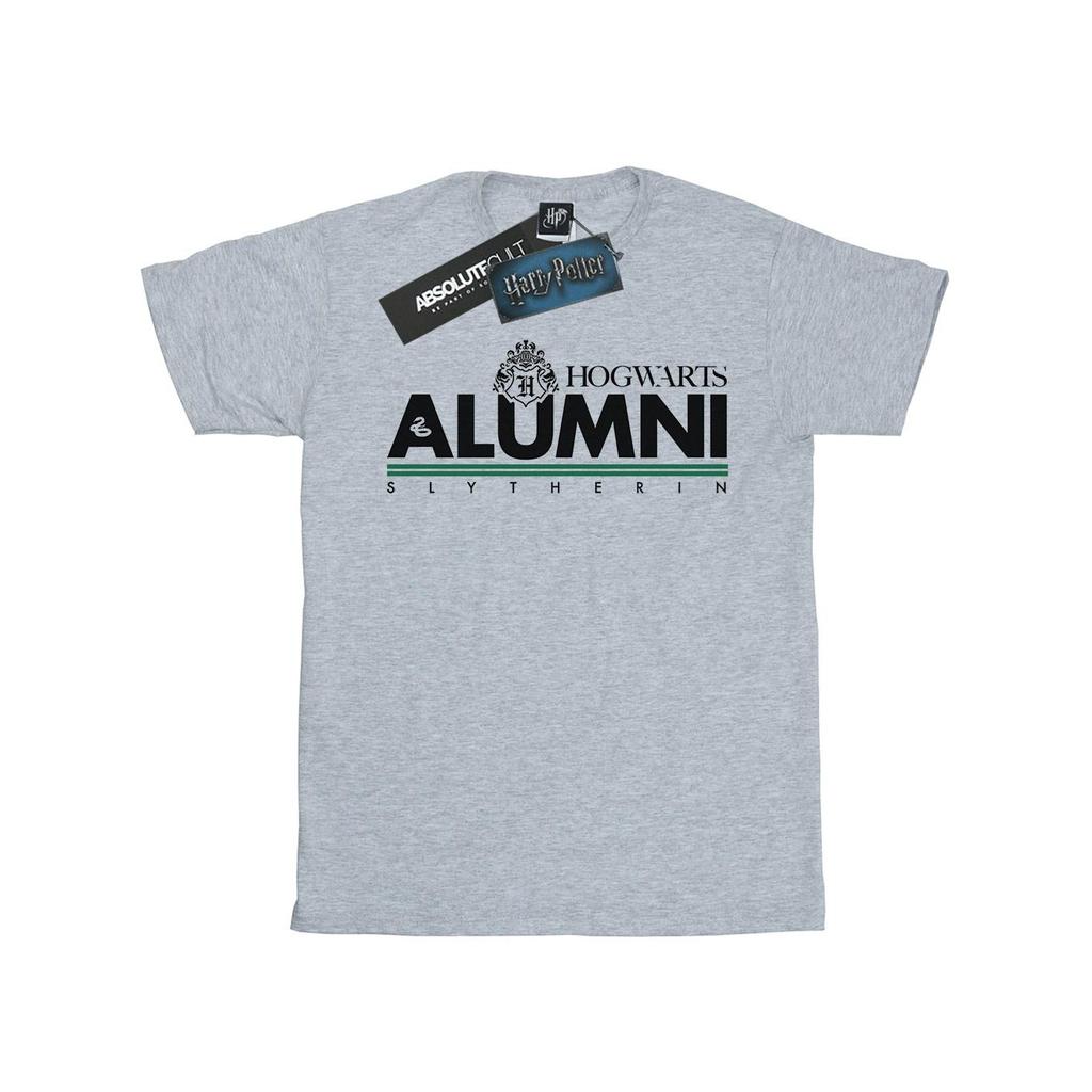 Harry Potter Womens/Ladies Hogwarts Alumni Slytherin Cotton Boyfriend T-Shirt