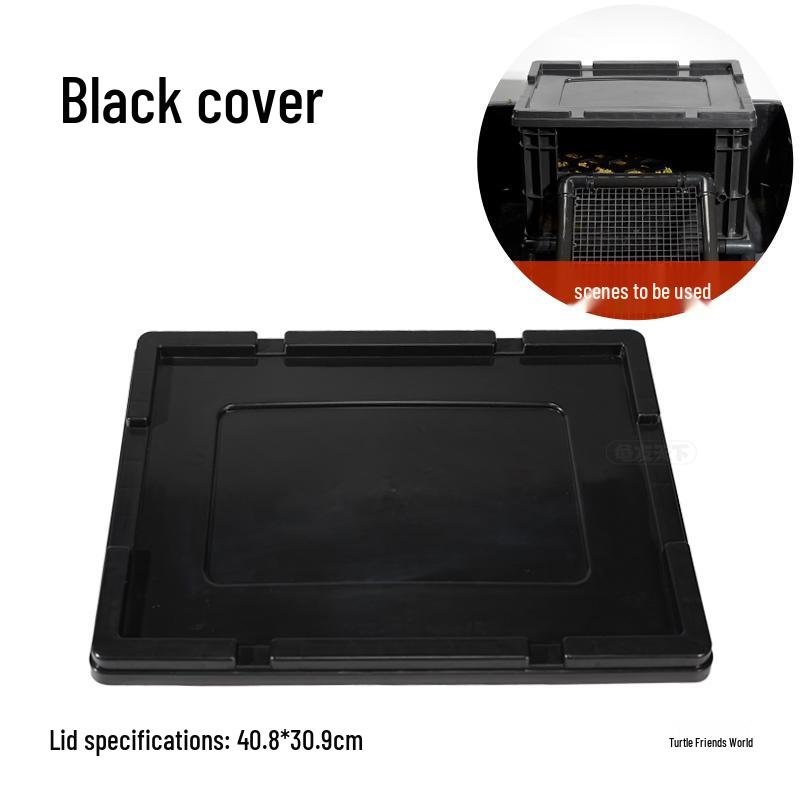 Turtle Egg-Laying Pond & Incubation Box with Basking Platform and Sand Pool