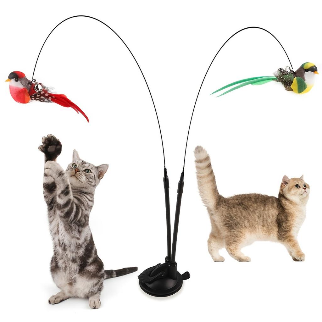 Interactive Cat Teaser Wand Set With Realistic Birds - Handfree Long Pole & Double Rod,