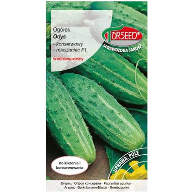 Sementes de vegetais frescos de Pepino Odys F1 PREMIUM 3g
