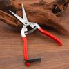 Plastic-Dipped Garden Shears for Pruning Fruit and Tree Branches