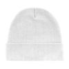 L-Merch RPET Beanie