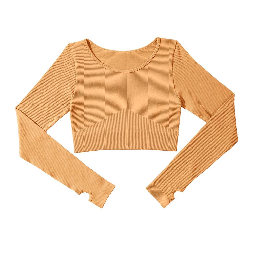 Seamless Ribbed Long Sleeve Women's Yoga Top