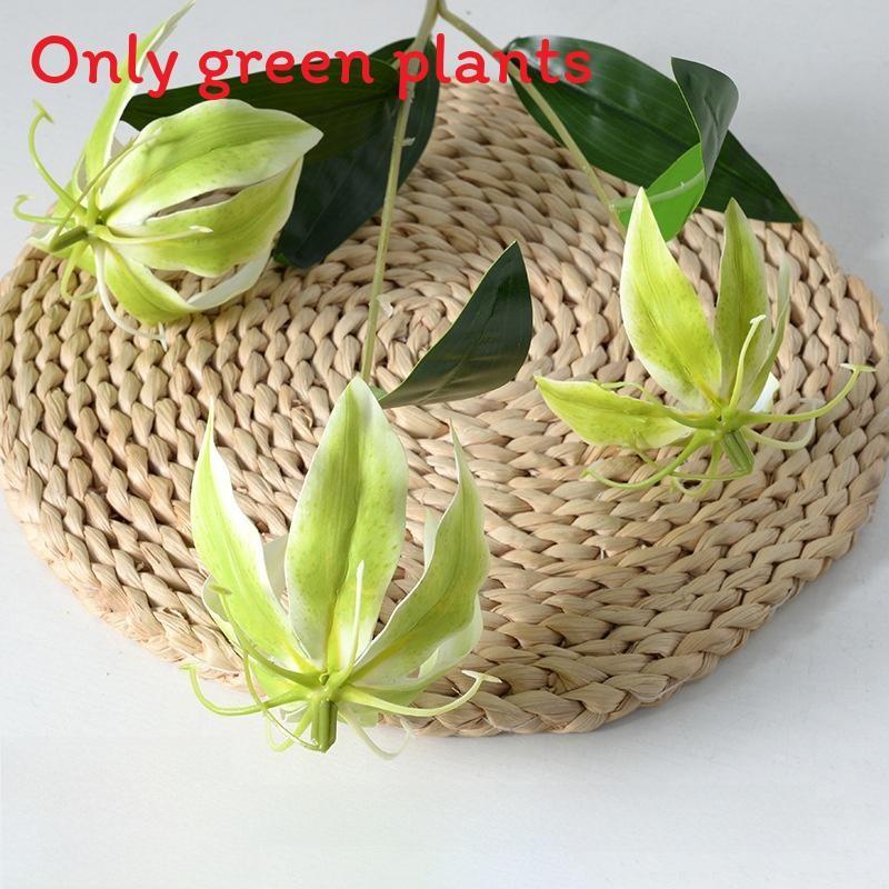 Liebm Deliciosa Monstera And Eucalyptus Citriodora Hook Green Decor Plants