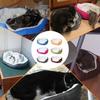 Cães – Casotas, tocas, currais