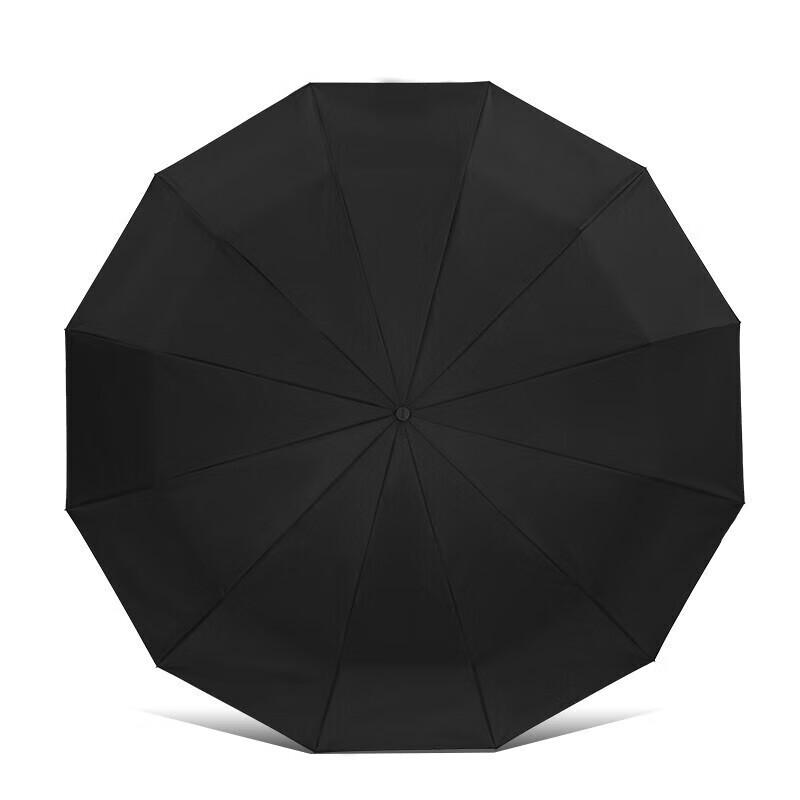 Paradise Fully Automatic Extra-Large 12-Rib Windproof Umbrella