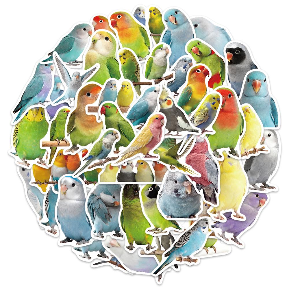 50PCS Cute Parrot Decorative Stickers DIY Phone Cases, Laptops, Water Bottles, Computers, Skateboarding Stickers