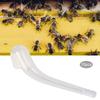 10 Stück Königinnen-Fanglöffel Harmloser Fang Bienenstockwerkzeug Imkerbedarf