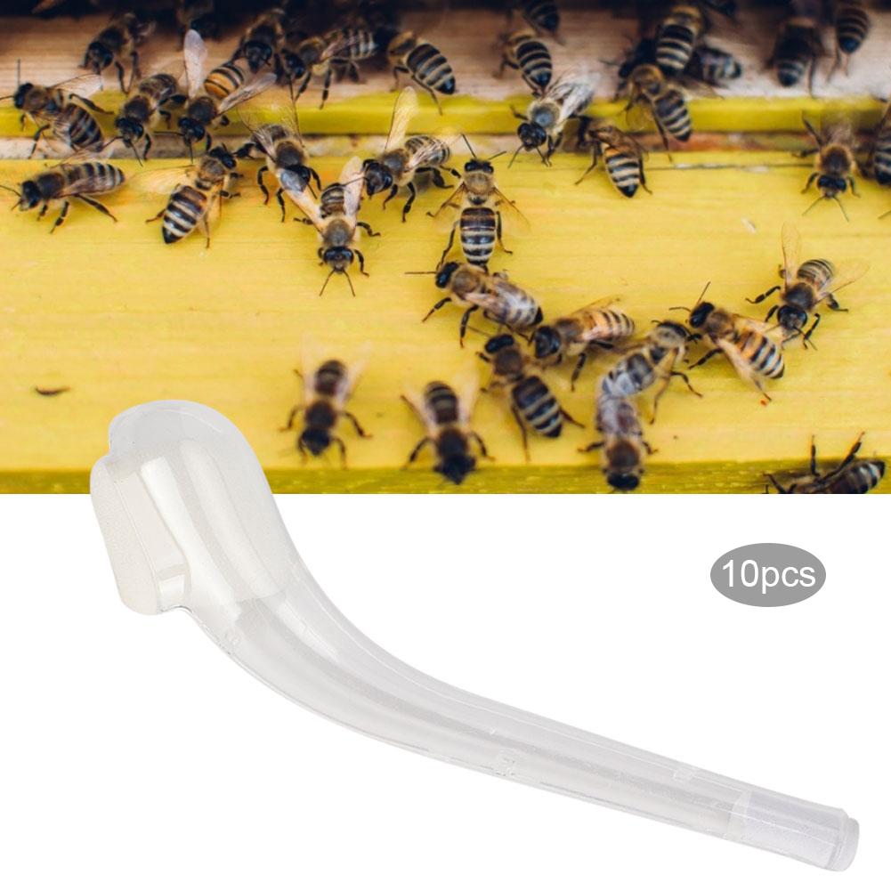 10 Stück Königinnen-Fanglöffel Harmloser Fang Bienenstockwerkzeug Imkerbedarf