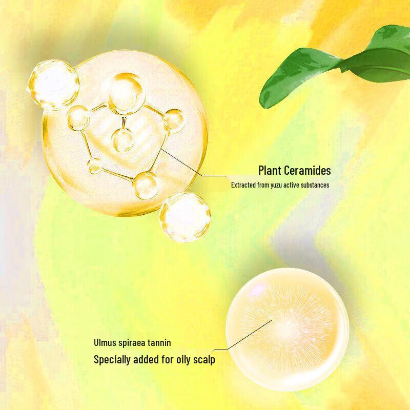 Syoss Oil Control & Volumizing Shampoo