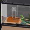Distributeur d'eau automatique pour reptiles, abreuvoir, gamelle pour nourriture, pour gecko, caméléon