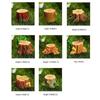 ZAKKA Creative Resin Tree Stumps for Moss Micro Landscaping Ornaments