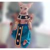 Sphinx Hairless Cat Clothes Dragon Ball God of Destruction Lord Beerus Brothers Xiangpa Pure Cotton Anti-take-off Crotch Pants