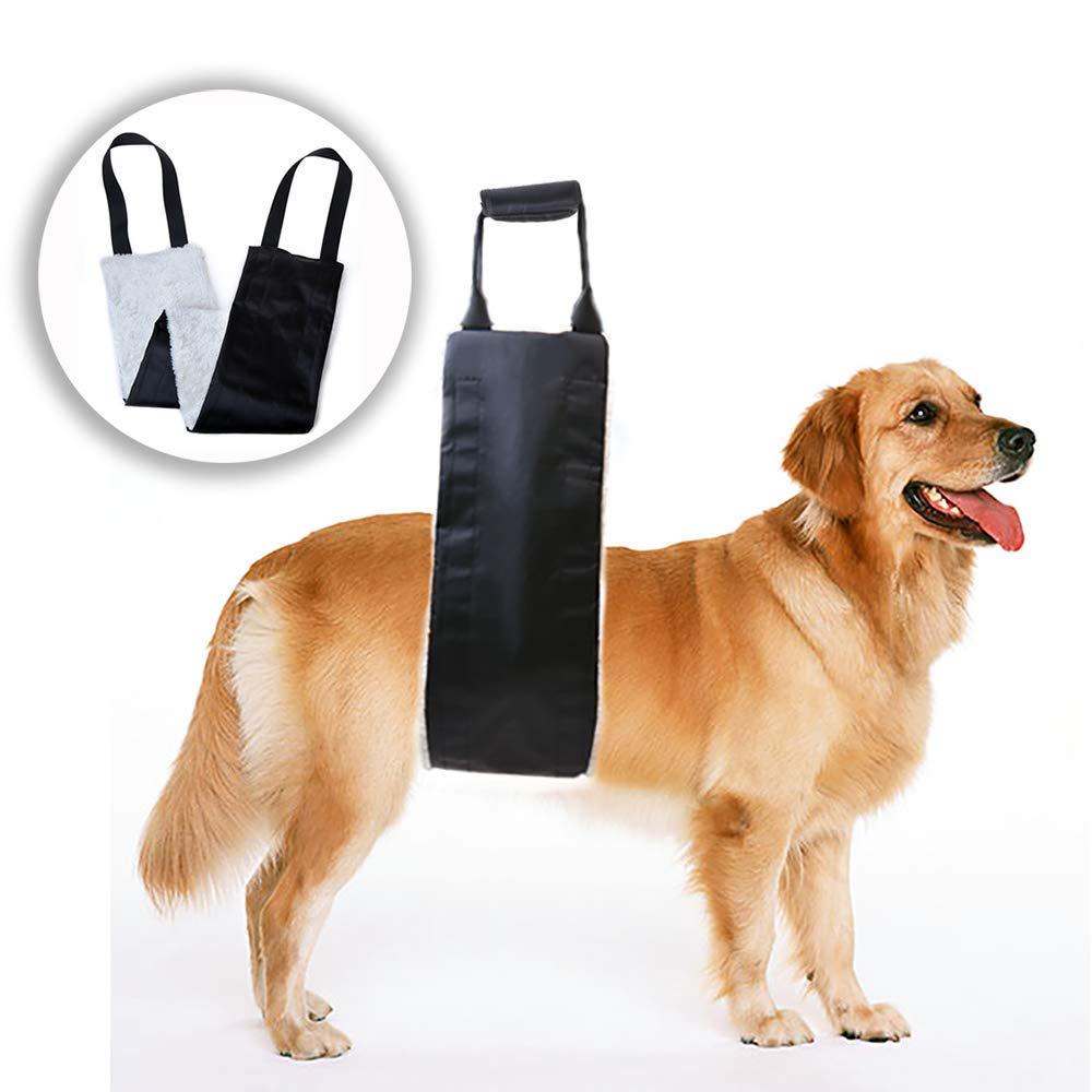 handicappedpets dog support sling