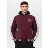 PITBULL MANOLITO Transitional Jacket