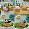 Doll Cat Cartoon Car Mounted Desktop Micro Landscape Decoration Gift Student