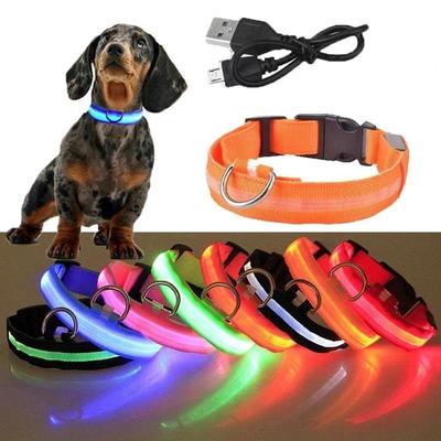 Nuovo Collare LED Luminoso Lampeggiante per Cani Domestici Ricaricabile USB Collana Luminosa Passeggio All'Aperto Forniture di Sicurezza Notturna