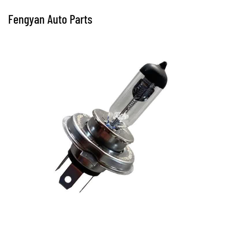 24V 100W H4 Headlight Bulbs (2-Pack)