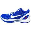 Nike Kobe 6 Protro Dodgers Nike CW2190-400
