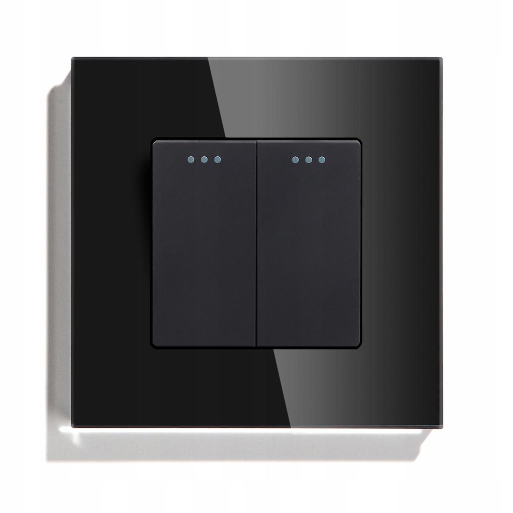 Light Switch 2P Mechanical Insert Black RTX SH