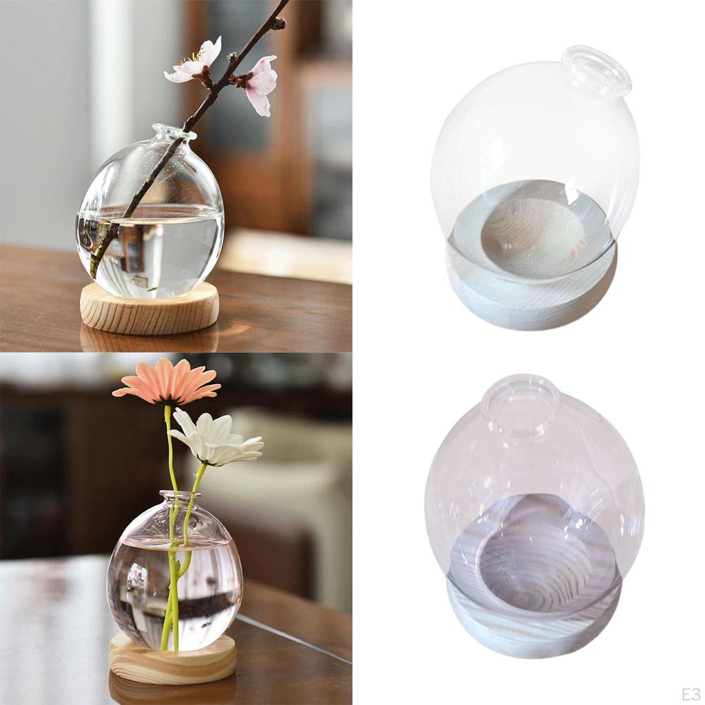 Hydroponic Plant Pot Bud Vase Home Desk Flowerpot Desktop Glass Planter for