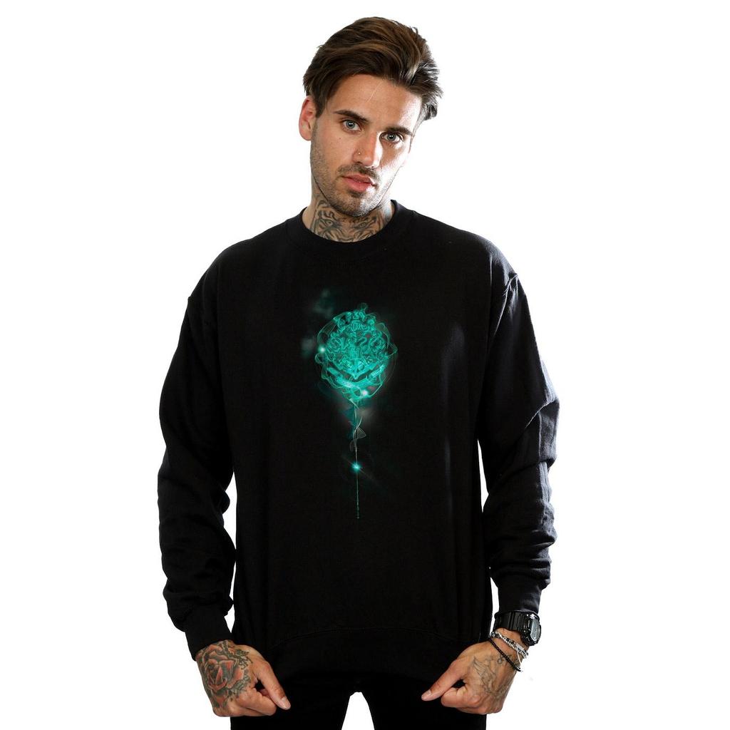 HARRY POTTER Mens Hogwarts Crest Mist Sweatshirt
