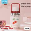 Diller Cherry Handle 316 SS 1000ML Insulated Mug