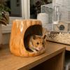 Produtos para animais – Roedores