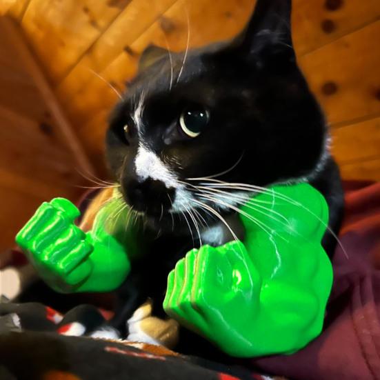 Vtipný Kočičí Svalnatá Ruka Superhrdina Cosplay Kostým Krk Ruka se Svaly 3D Tištěné Rekvizity pro Halloween Narozeninovou Párty