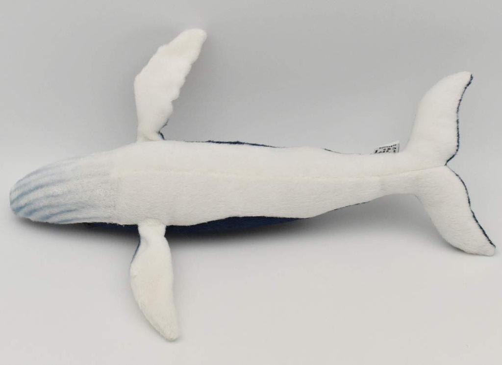 BH6285 HANSA Buckelwal 35