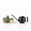 Watering Can for Outdoor Indoor Plants, Small 1000ML Stainless Steel Watering Pot with   Spout, Removable Nozzle, Metal Water Can for House Plant