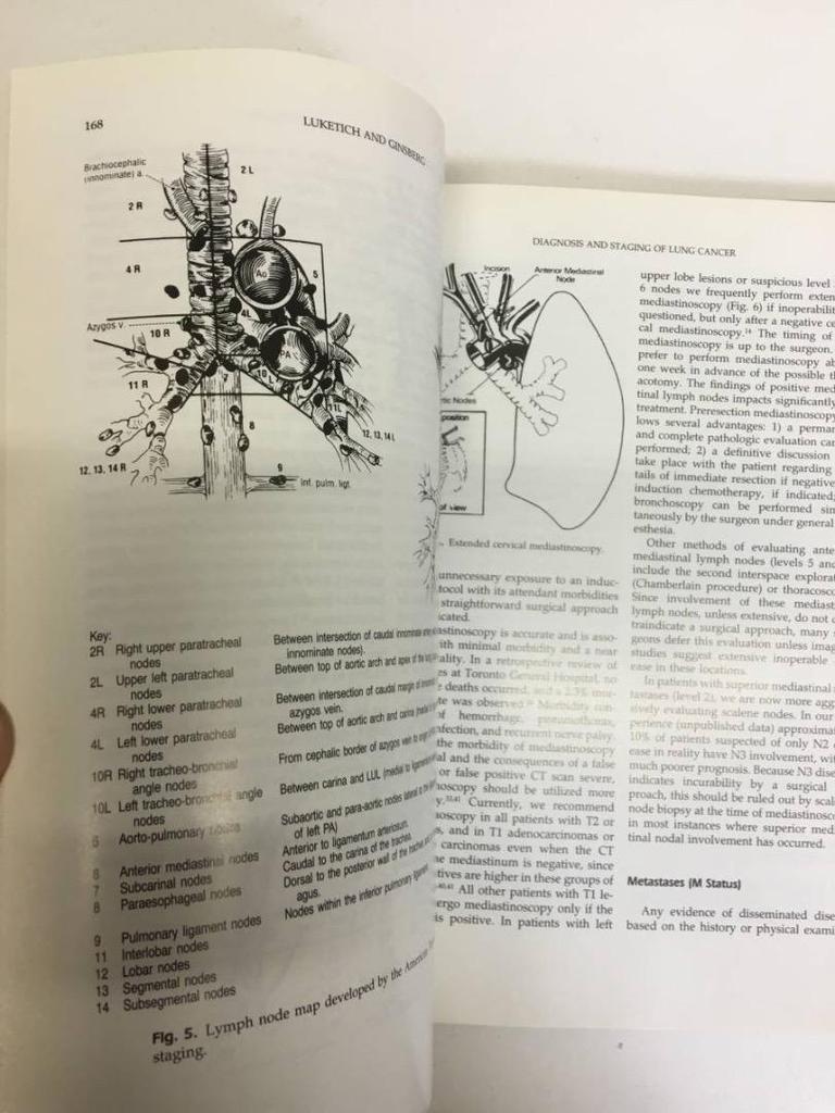 [USED] Hospital disposal book Medical book Foreign language book Lung Cancer (Current Clinic