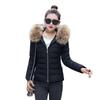 Autumn Winter Korean Style Women's Slim Fit Cotton Padded Jacket - Cold Protection Outerwear