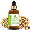 Semillas de cilantro Pure Herbs (Coriandrum sativum) Aceite esencial de grado terapéutico puro y natural en vidrio