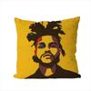 Federa Cuscino Singer The Weeknd Per Auto Divano Decorativa Casa Stampa Double-sided Peluche Quadrato Cuscino Decorativo Copricuscino