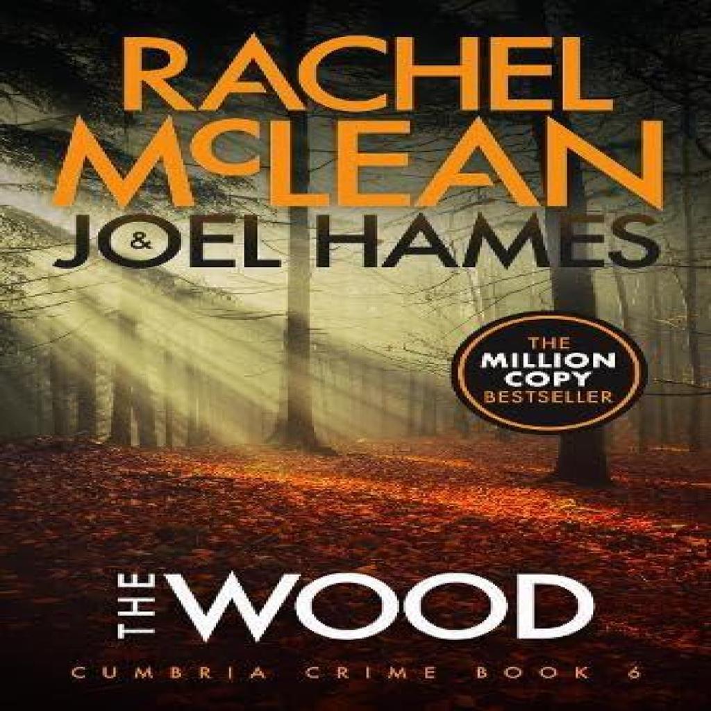 The Wood by Joel Hames Paperback Book 9781835601952