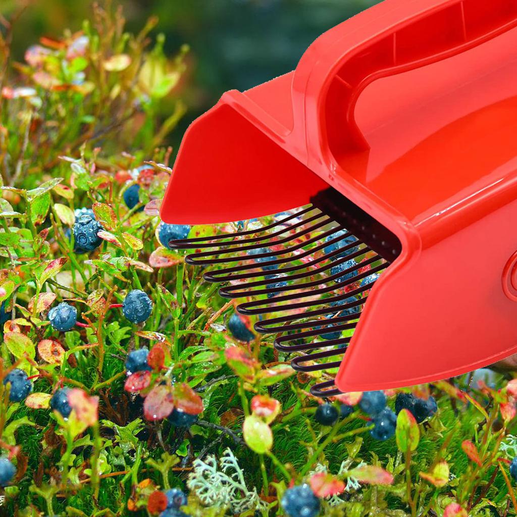 Beerenpflücker Blaubeerkamm Schaufel mit Metallkamm Ergonomischer Griff für einfaches Blaubeer-Heidelbeer-Ernten