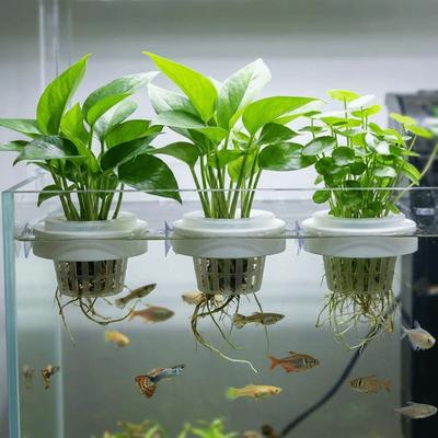 Suction Cup Floating Aquatic Plant Basket Plastic Hydroponic Plant Holder  Fish Tank